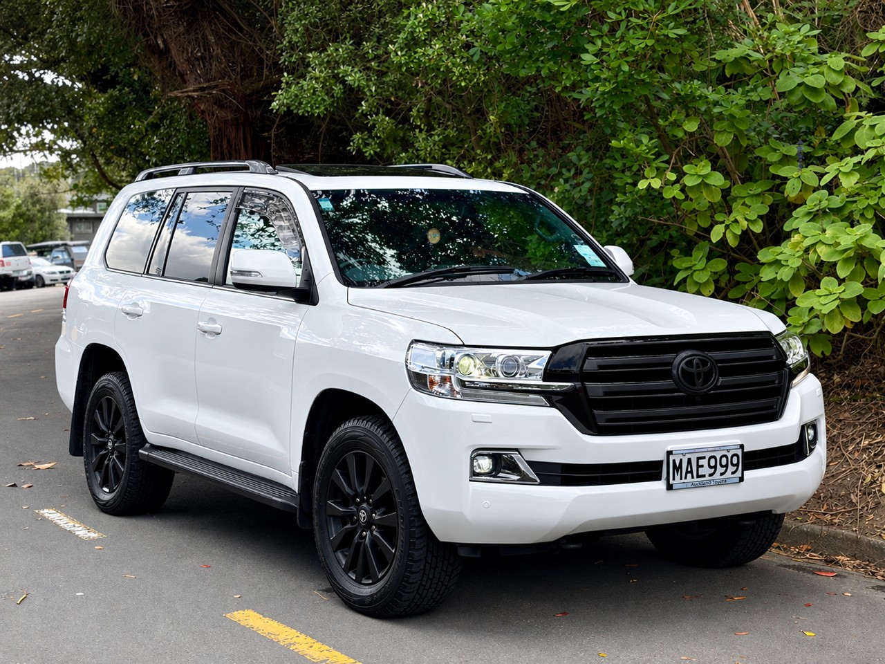 2019 Toyota Land Cruiser