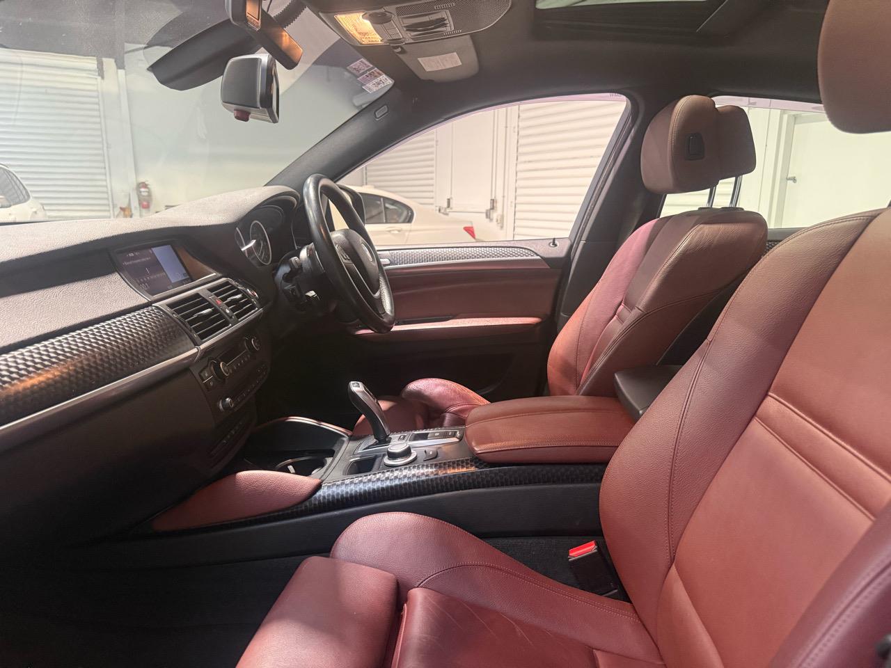 2009 BMW X6